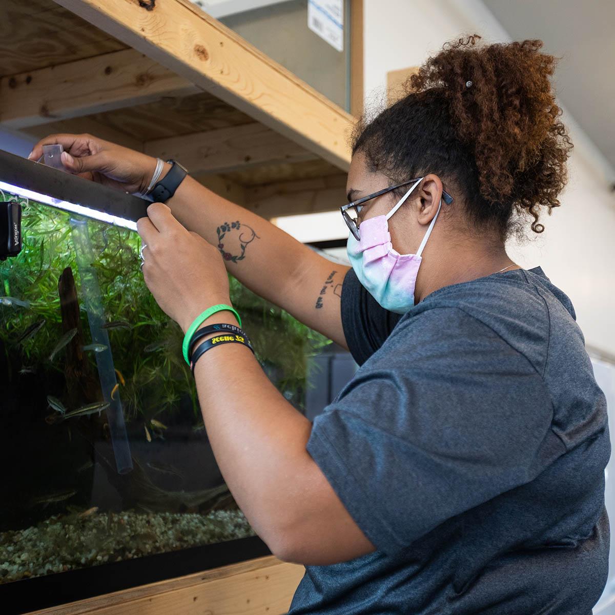 图为一名戴着眼镜和面具的学生在水族馆喂鱼