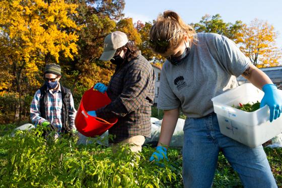 Photo of Chatham University graduate students harvesting the agroecology garden on 伊甸堂校园